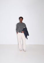 Load image into Gallery viewer, APC grey jumper
